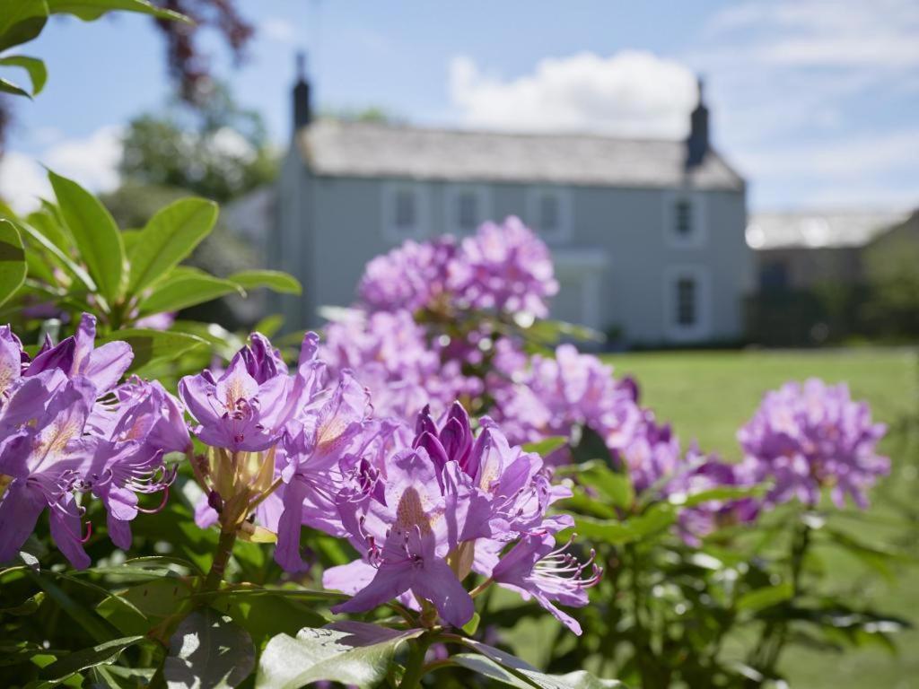 5 Bed In Loweswater Sz424 Lorton Esterno foto